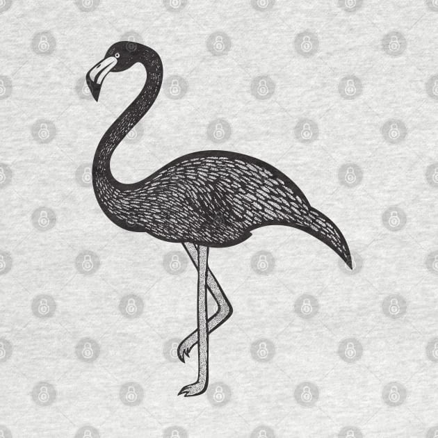 Flamingo Ink Art - cool and fun bird design - on light colors by Green Paladin